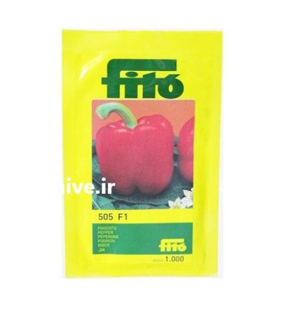 فروش بذر فلفل دلمه 505 fito در اهواز در گروه خرید و فروش بذر فلفل در یکمیوه -عکس1