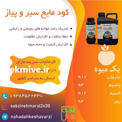 کود پیاز و سیر اختصاصی در تازه آباد در گروه خرید و فروش انواع کود کشاورزی در یکمیوه -عکس1