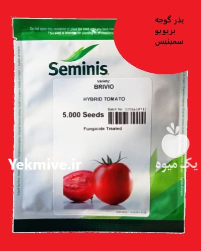 بذر گوجه Breivio Seminis فروش ارسال در اهواز در گروه خرید و فروش بذر گوجه در یکمیوه -عکس1