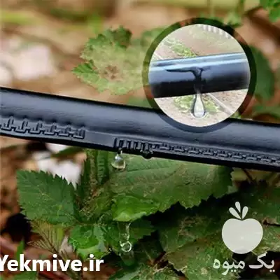 قیمت خرید نوار بغل دوخت آبیاری در گروه خرید و فروش اتصالات و تجهیزات آبیاری در یکمیوه -عکس1