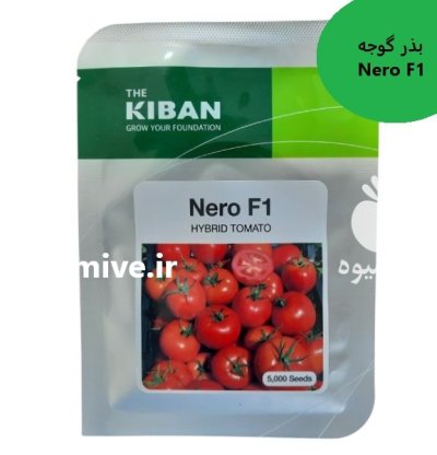 فروش بذر گوجه Nero کیبان کره در اهواز در گروه خرید و فروش بذر گوجه در یکمیوه -عکس1