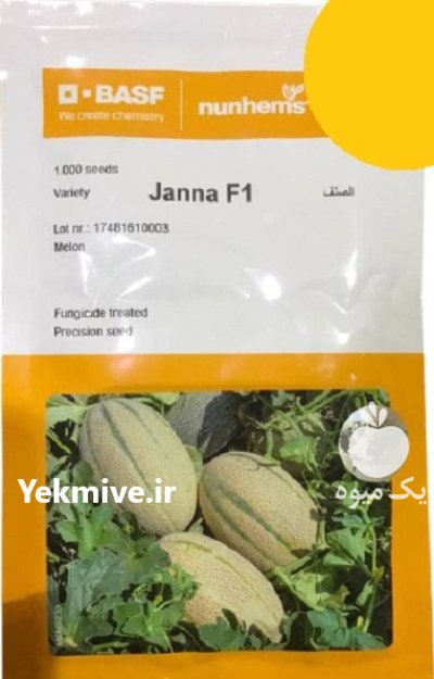 فروش بذر ملون Janna نانهمز هلند در اهواز در گروه خرید و فروش بذر ملون در یکمیوه -عکس1