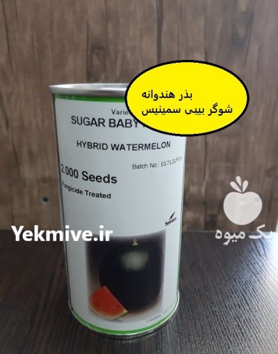 فروش بذر هندوانه SUGAR BABY Seminis در اهواز در گروه خرید و فروش بذر هندوانه در یکمیوه -عکس1