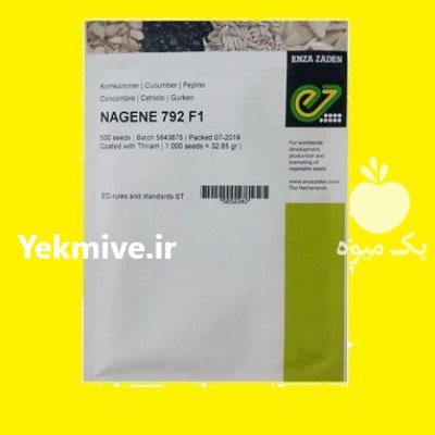 فروش بذر خیار NAGENE F 1 بذر در اهواز در گروه خرید و فروش بذر خیار در یکمیوه -عکس1