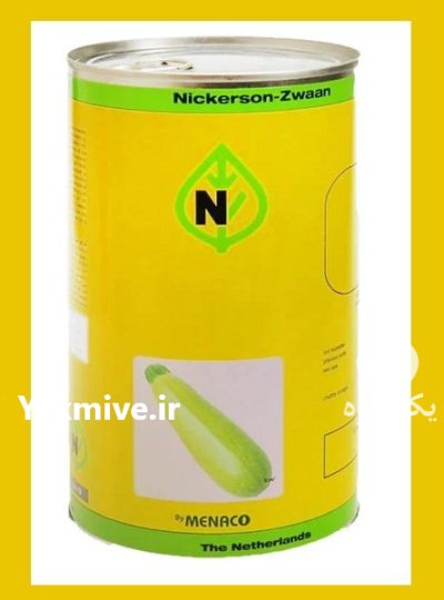 فروش بذر کدو ازرا نیکرسون بذر در گروه خرید و فروش بذر کدو در یکمیوه -عکس1