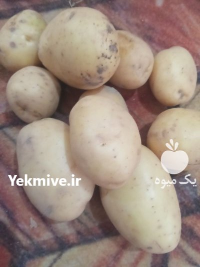فروش سیب زمینی مقطوع در گروه خرید و فروش سیب زمینی در یکمیوه -عکس1