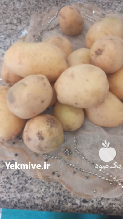 فروش سیب زمینی مقطوع در گروه خرید و فروش سیب زمینی در یکمیوه -عکس3