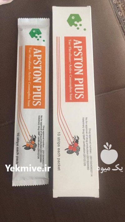 نوارکنه زنبور ارگانیک با اثرگذاری بالا در گروه خرید و فروش زنبورعسل در یکمیوه -عکس4