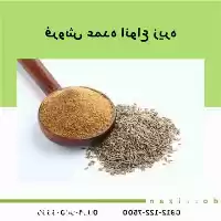 انواع زیره زیره سبز زیره سیاه در تهران در گروه خرید و فروش گیاهان دارویی در یکمیوه