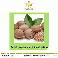 جوز هندی به صورت عمده در گروه خرید و فروش گیاهان دارویی در یکمیوه