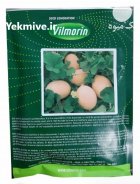 فروش بذر ملون رازان vilmorin بذر در اهواز در گروه خرید و فروش بذر ملون در یکمیوه