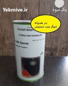 فروش بذر هندوانه SUGAR BABY Seminis در اهواز در گروه خرید و فروش بذر هندوانه در یکمیوه