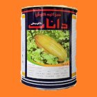 فروش بذر خربزه خاتونی داناب بذر در اهواز در گروه خرید و فروش بذر خربزه در یکمیوه