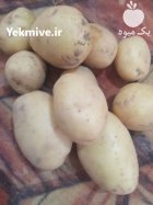 فروش سیب زمینی مقطوع در گروه خرید و فروش سیب زمینی در یکمیوه