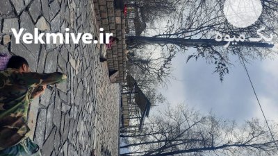 اجرای سنگ لاشه ورقه ای دماوند در گروه سازنده در یکمیوه -عکس1