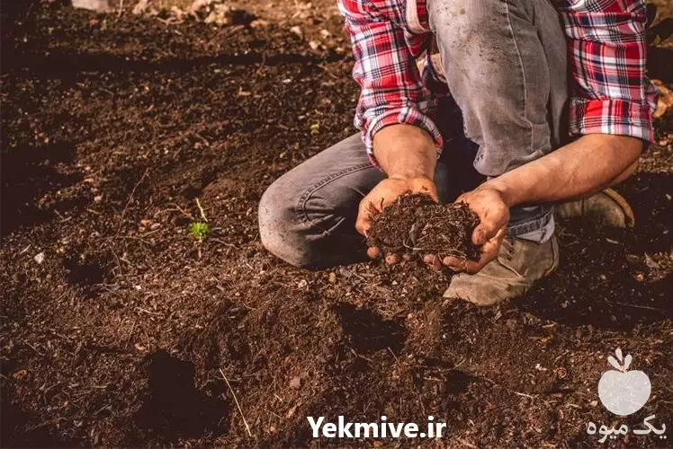 فروش پرلیت کشاورزی بسته بندی شده در تهران در گروه خرید و فروش انواع کود کشاورزی در یکمیوه -عکس1