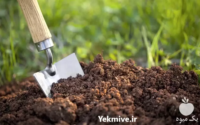 فروش تامین کود برای باغچه در تهران در گروه خرید و فروش انواع کود کشاورزی در یکمیوه -عکس1