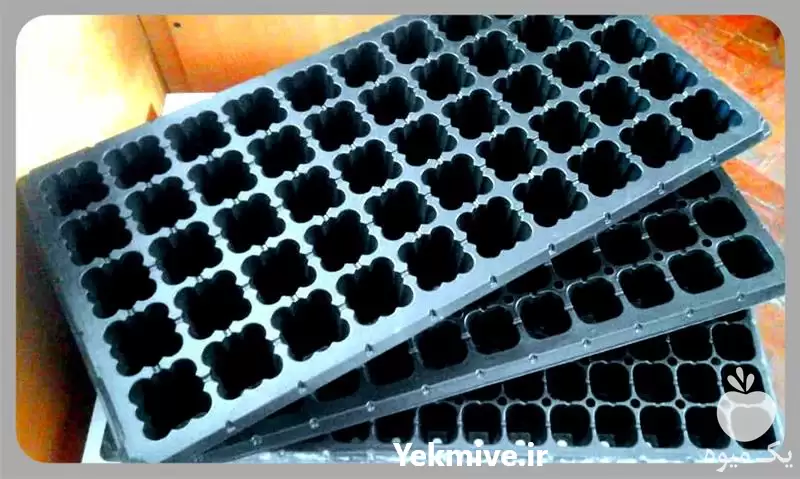 سینی نشا در سراسر کشور در تهران در گروه خرید و فروش نشا در یکمیوه -عکس1