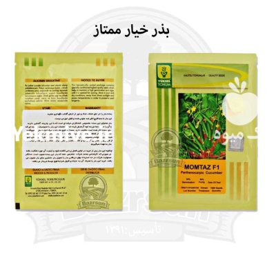 بذر خیار ممتاز در گروه خرید و فروش بذر خیار در یکمیوه -عکس1