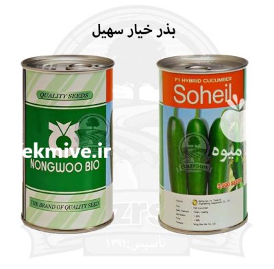 بذر خیار سهیل در گروه خرید و فروش بذر خیار در یکمیوه -عکس1