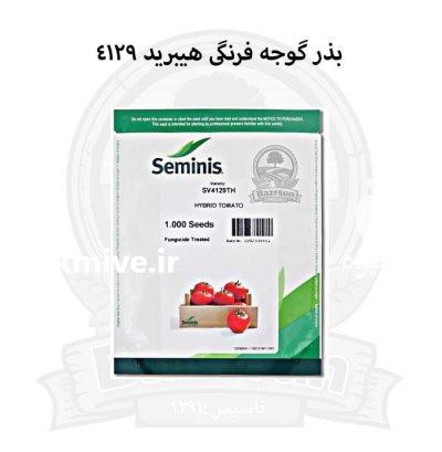 بذر گوجه فرنگی هیبرید 4129 در اصفهان در گروه خرید و فروش بذر گوجه در یکمیوه -عکس1