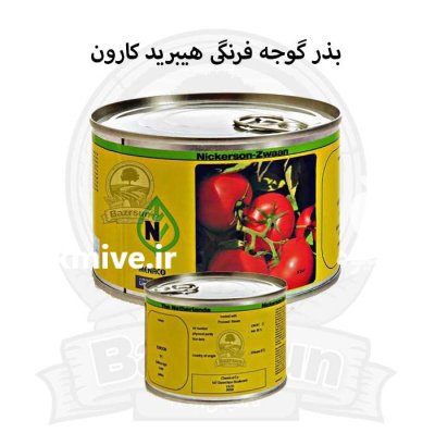 بذر گوجه فرنگی هیبرید کارون در اصفهان در گروه خرید و فروش بذر گوجه در یکمیوه -عکس1