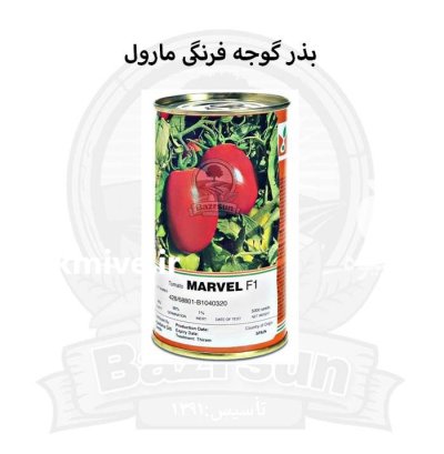 بذر گوجه فرنگی مارول در اصفهان در گروه خرید و فروش بذر گوجه در یکمیوه -عکس1