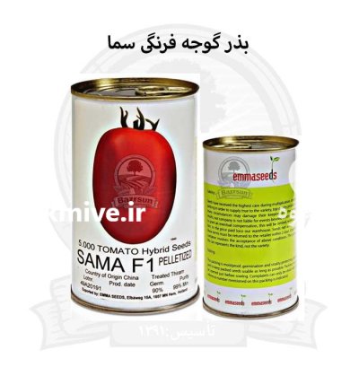 بذر گوجه فرنگی سما در اصفهان در گروه خرید و فروش بذر گوجه در یکمیوه -عکس1