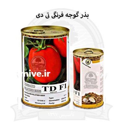 بذر گوجه فرنگی تی دی TD در اصفهان در گروه خرید و فروش بذر گوجه در یکمیوه -عکس1