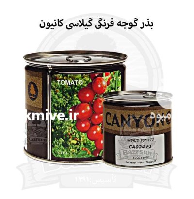 بذر گوجه فرنگی گیلاسی در گروه خرید و فروش بذر گوجه در یکمیوه -عکس1