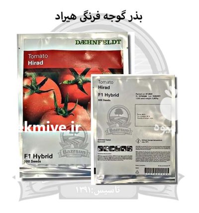 بذر گوجه فرنگی هیبرید هیراد در اصفهان در گروه خرید و فروش بذر گوجه در یکمیوه -عکس1