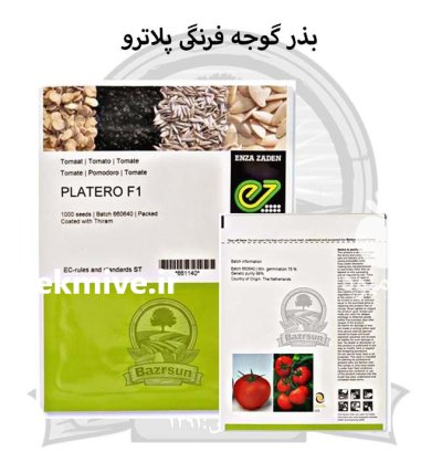 بذر گوجه فرنگی هیبرید پلاترو در اصفهان در گروه خرید و فروش بذر گوجه در یکمیوه -عکس1