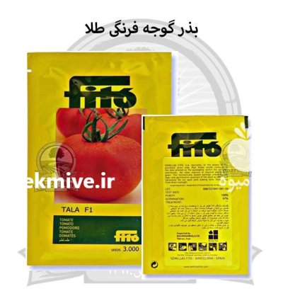 بذر گوجه فرنگی طلا در اصفهان در گروه خرید و فروش بذر گوجه در یکمیوه -عکس1