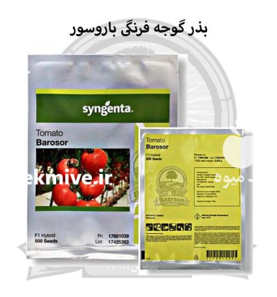 بذر گوجه فرنگی هیبرید باروسور در گروه خرید و فروش بذر گوجه در یکمیوه -عکس1