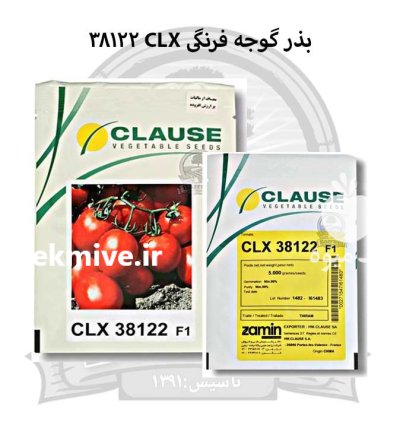بذر گوجه فرنگی CLX 38122 در اصفهان در گروه خرید و فروش بذر گوجه در یکمیوه -عکس1