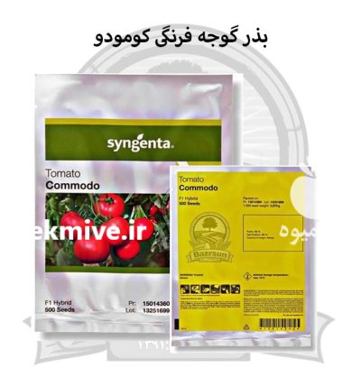 بذر گوجه فرنگی هیبرید کومودو در اصفهان در گروه خرید و فروش بذر گوجه در یکمیوه -عکس1