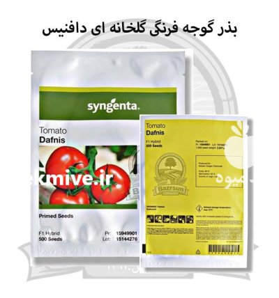 بذر گوجه فرنگی گلخانه ای دافنیس در اصفهان در گروه خرید و فروش بذر گوجه در یکمیوه -عکس1