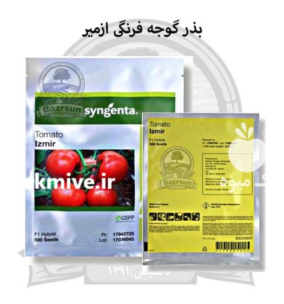 بذر گوجه فرنگی هیبرید ازمیر در اصفهان در گروه خرید و فروش بذر گوجه در یکمیوه -عکس1