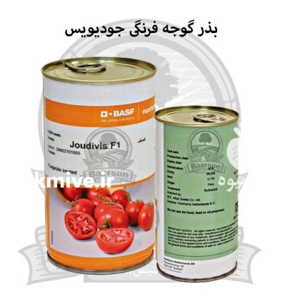 بذر گوجه فرنگی جودیویس در اصفهان در گروه خرید و فروش بذر گوجه در یکمیوه -عکس1