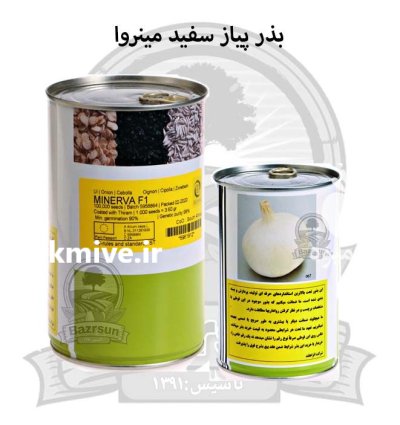 بذر پیاز سفید مینروا در اصفهان در گروه خرید و فروش بذر پیاز در یکمیوه -عکس1