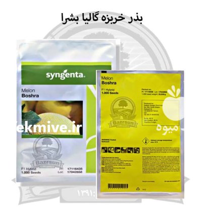 بذر خربزه گالیا بشرا سینجنتا در اصفهان در گروه خرید و فروش بذر خربزه در یکمیوه -عکس1