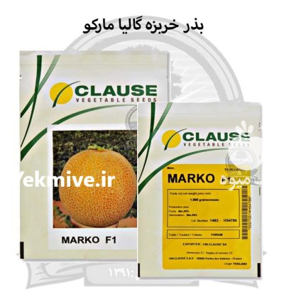 بذر خربزه گالیا مارکو کلوز در گروه خرید و فروش بذر خربزه در یکمیوه -عکس1