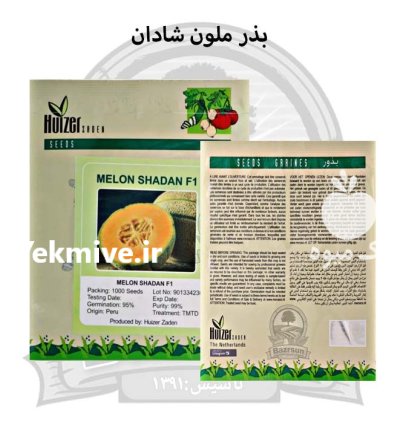 بذر ملون خربزه شادان در اصفهان در گروه خرید و فروش بذر خربزه در یکمیوه -عکس1