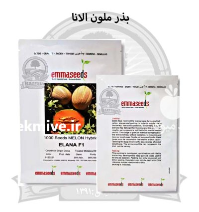 بذر ملون خربزه الانا اماسیدز در اصفهان در گروه خرید و فروش بذر خربزه در یکمیوه -عکس1