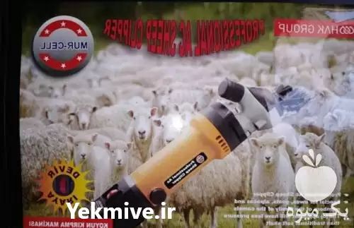 قیمت خرید پشم چین گوسفندی پشم در اصفهان در گروه تجهیزات دامداری در یکمیوه -عکس1