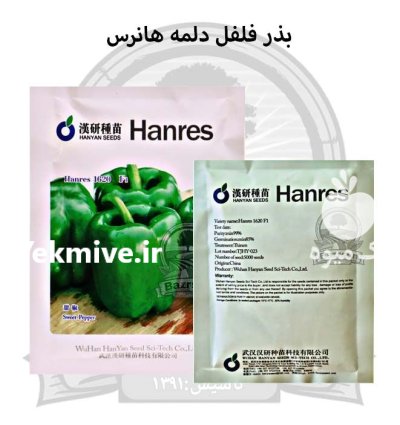 بذر فلفل دلمه 1620 هانرس در اصفهان در گروه خرید و فروش بذر فلفل در یکمیوه -عکس1