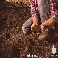 فروش پرلیت کشاورزی بسته بندی شده در تهران در گروه خرید و فروش انواع کود کشاورزی در یکمیوه