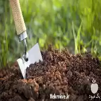 فروش تامین کود برای باغچه در تهران در گروه خرید و فروش انواع کود کشاورزی در یکمیوه