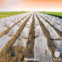 فروش و تولید نایلون گلخانه در همدان در گروه خرید و فروش انواع پوشش ها در یکمیوه