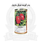 بذر گوجه فرنگی مارول در اصفهان در گروه خرید و فروش بذر گوجه در یکمیوه